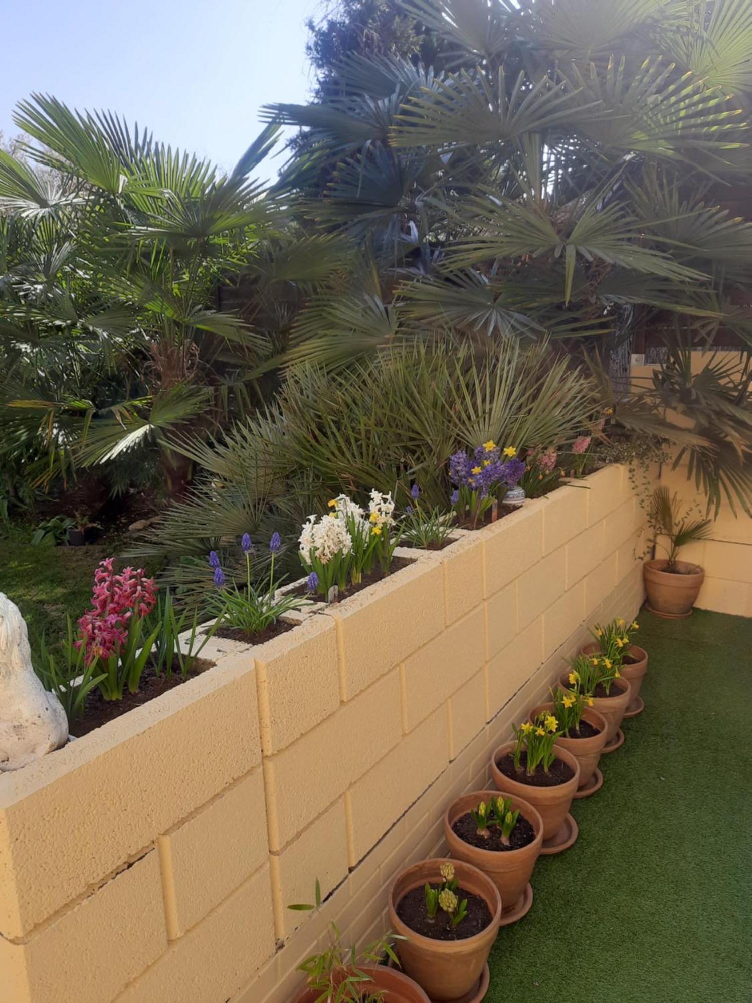 Joys Ferienwohnung أوبيرهاوزين الغرفة الصورة